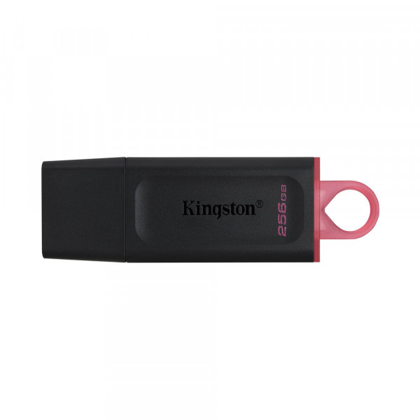 USB Kingston 256GB  DataTraveler Exodia (DTX256GB)				