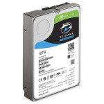 Ổ cứng camera Seagate Skyhawk AI 10TB ST10000VE001 (3.5Inch/ 7200rpm/ Cache 256MB/ SATA3)