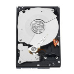 Ổ cứng Western Digital Black 2TB WD2003FZEX (3.5Inch/ 7200rpm/ 256MB/ SATA3)